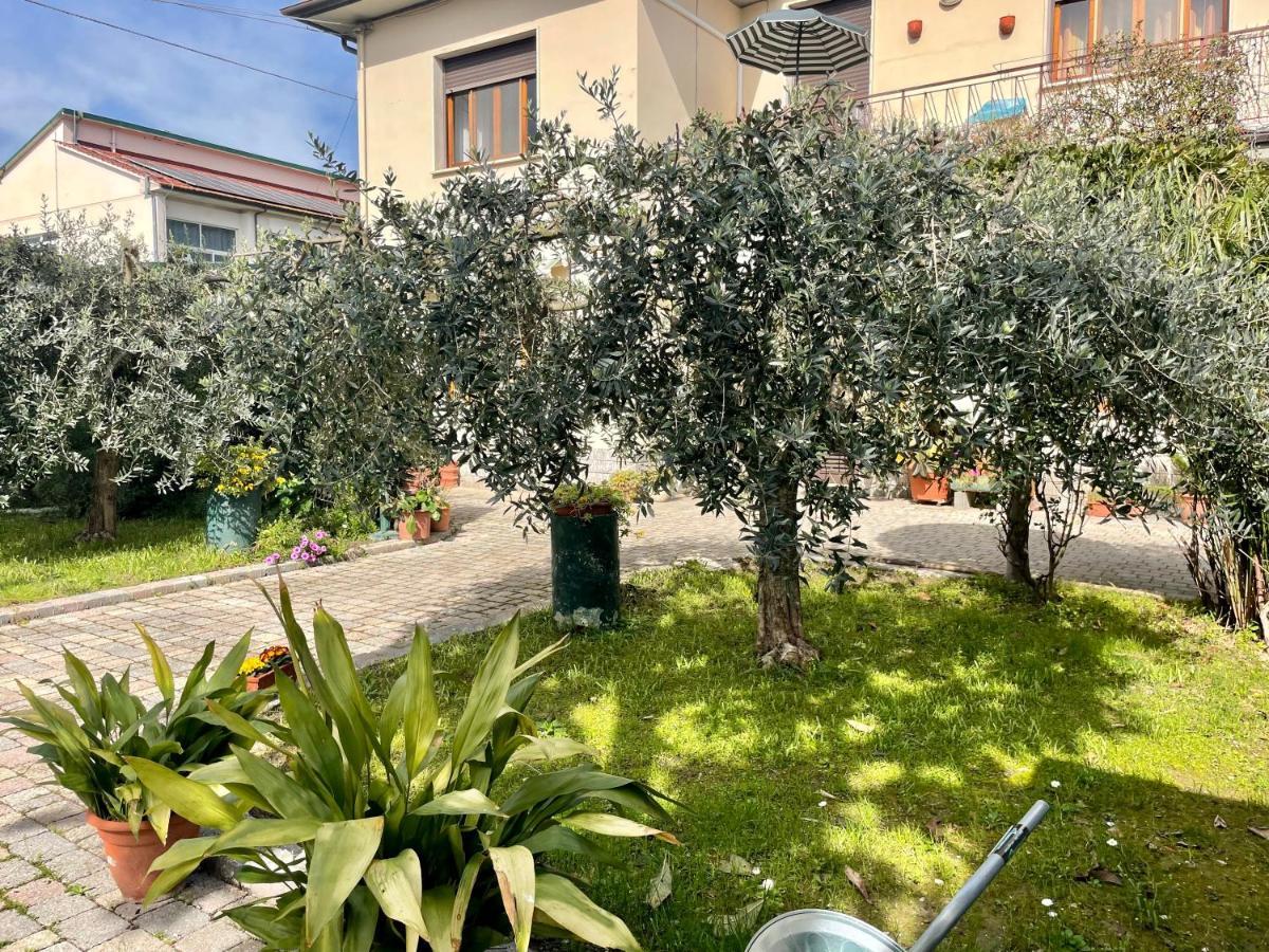 Apartamento Casa La Palma Vecchiano Exterior foto